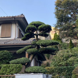 株式会社マツシタホーム