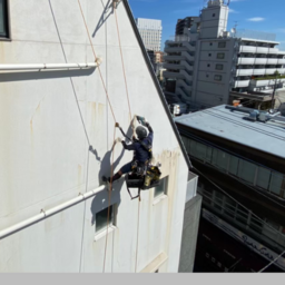 株式会社TRAWE(トラウェ)