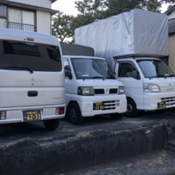 リトルウイング