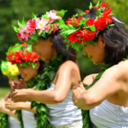 HULA o ka Māpunahele