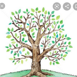 スティラスーカムヨーガ瞑想