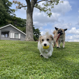 有限会社足立塗装