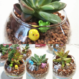 セルフアップサークルLOOP