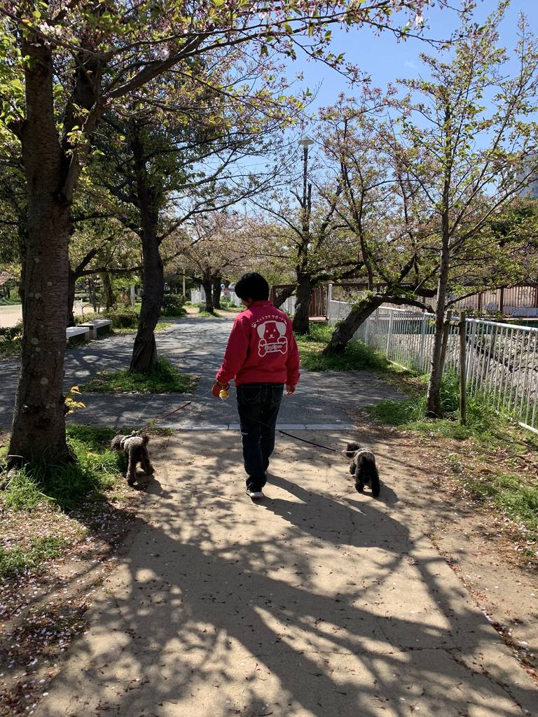 ペットケアサポート✴︎クッキー | 兵庫県神戸市 須磨区 | ペット