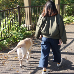 近くの犬のしつけ教室 ドッグトレーナーを探す 22年4月更新 ゼヒトモ Zehitomo