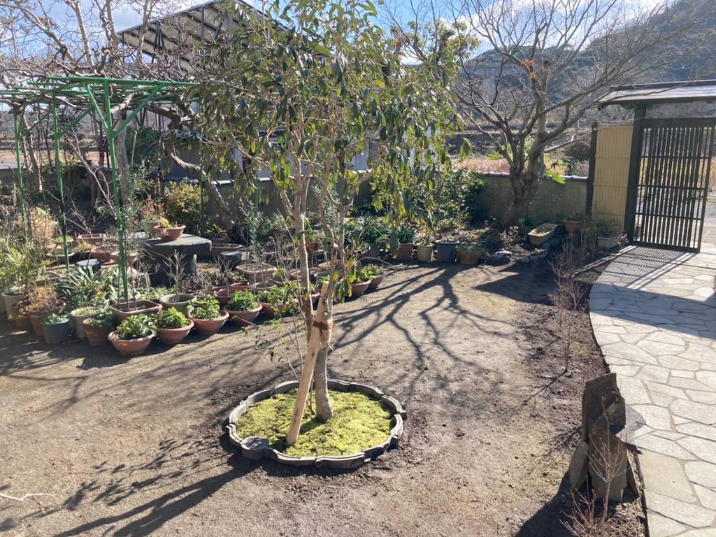 株式会社タロウガーデン | 大分県大分市 | ゼヒトモ