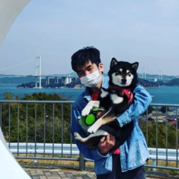 日の丸ペットシッターズ　Family Alis Project