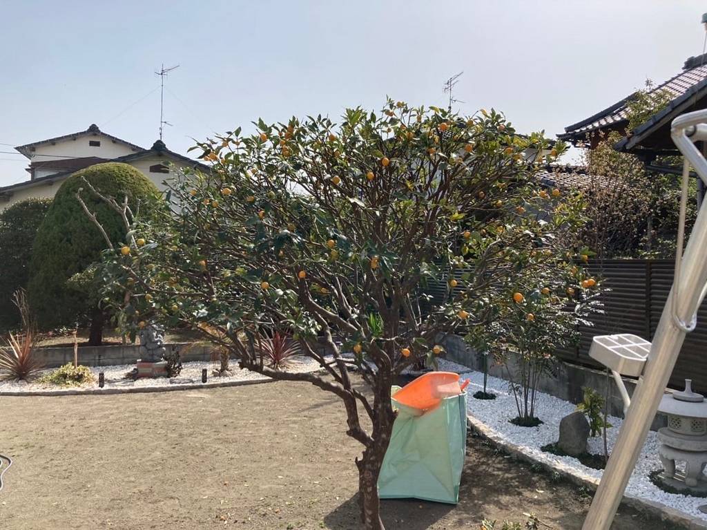 株式会社タロウガーデン | 大分県大分市 | ゼヒトモ