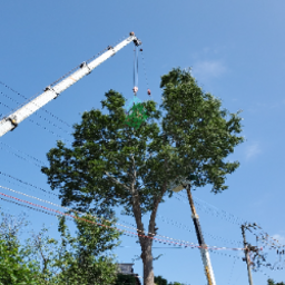 有限会社差畑林業's avatar