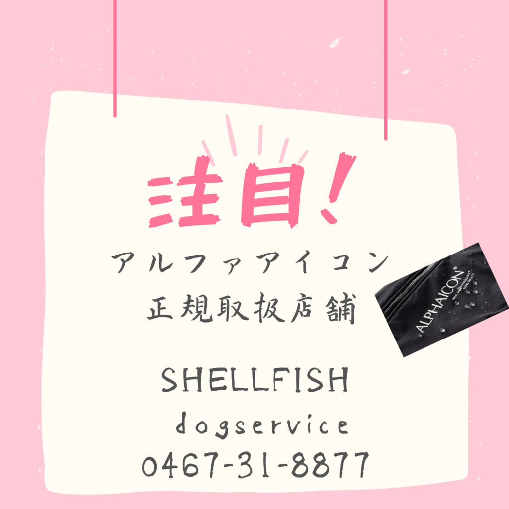 SHELLFISH dogservice | 神奈川県鎌倉市 | ゼヒトモ