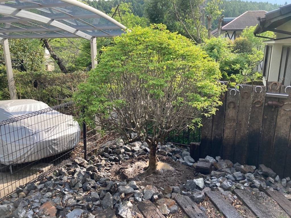 株式会社タロウガーデン | 大分県大分市 | ゼヒトモ