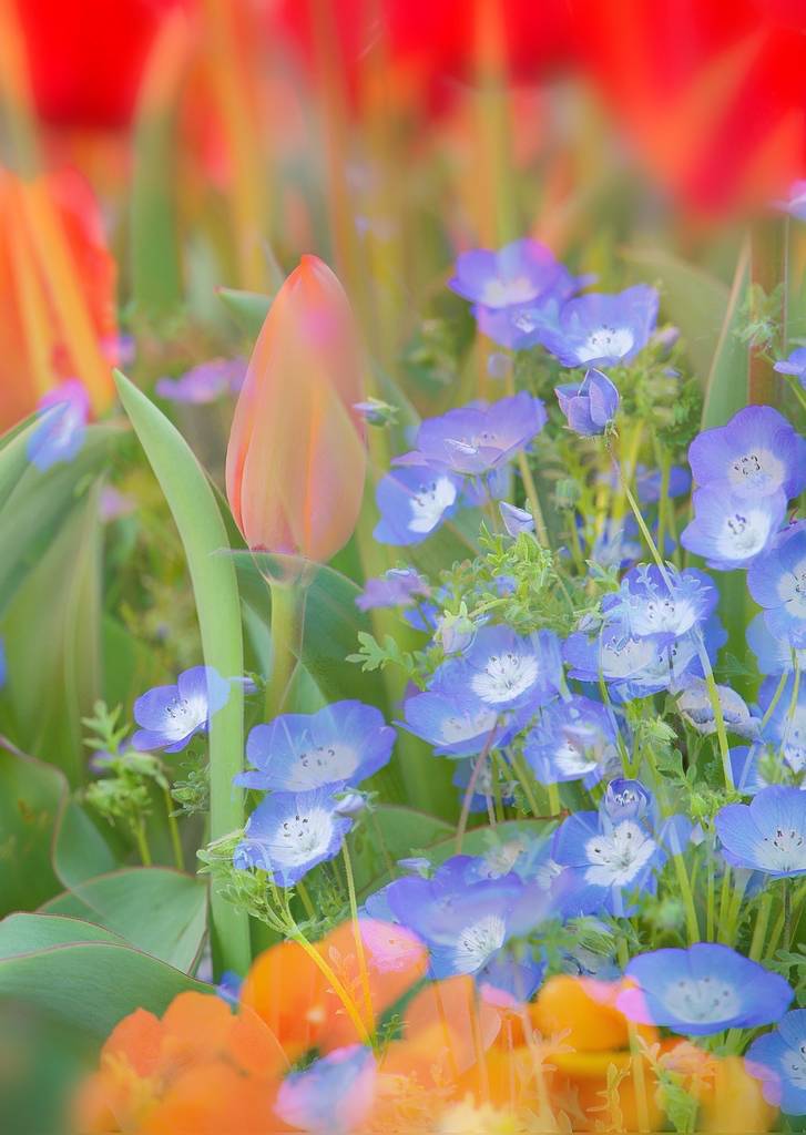 LUKE_HARA358 原 直樹 | 東京都葛飾区 | ゼヒトモ