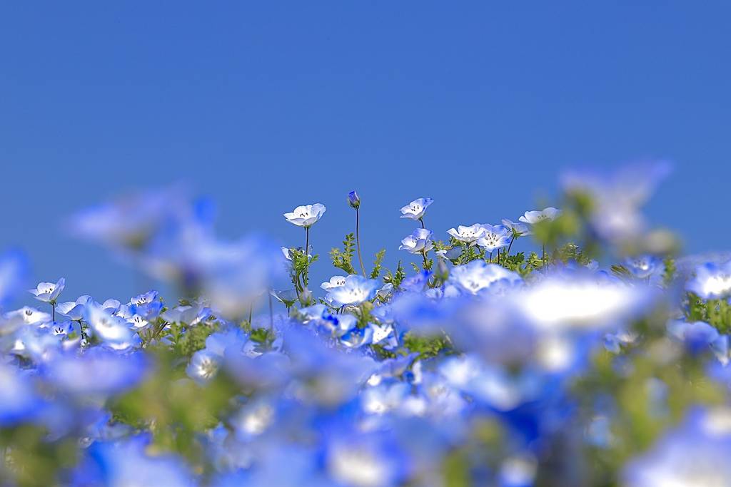 LUKE_HARA358 原 直樹 | 東京都葛飾区 | ゼヒトモ