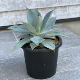 株式会社NEXTPLAN's avatar