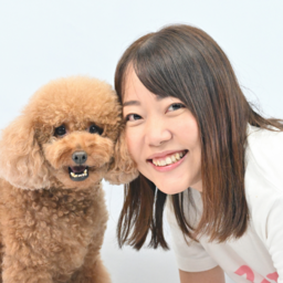 ブライトわんにゃんスクール