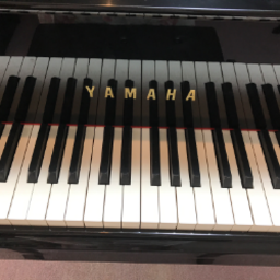 ムジカ音楽教室