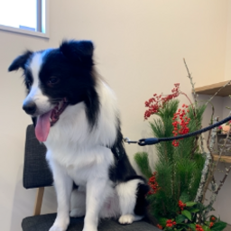 株式会社ミヤモト・コーポレーション