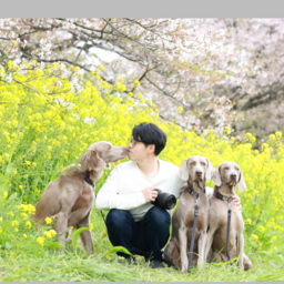 吉岡 礼央's avatar
