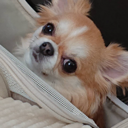 合同会社kanemura's avatar