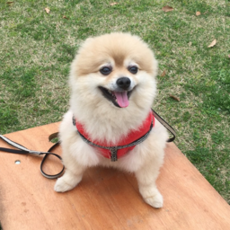 株式会社美創T-グループ