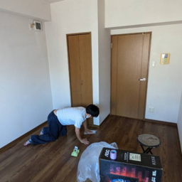 トリンパル's avatar