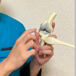 関節プログレス研究所's avatar