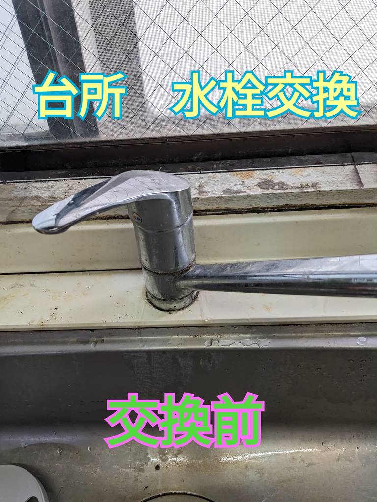 おそうじパパ | 埼玉県川口市 | ゼヒトモ