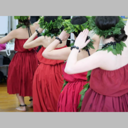 トロピカルダンスアカデミー　フラ　ハウオリ