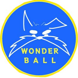 株式会社WONDER BALL