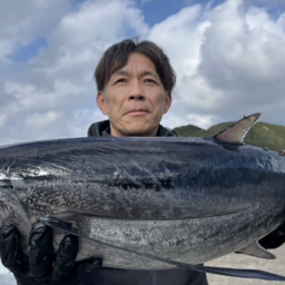 インテリア　坂口