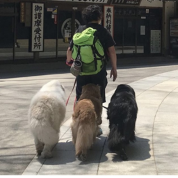 春田 直哉