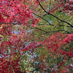 無理のない食事指導と筋トレ♪運動不足さんも産前産後もラクチンな身体に！