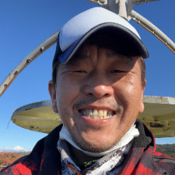 【ハチの巣駆除 専門店】リプラス