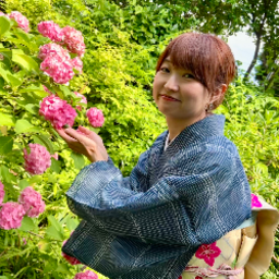 きもののいろいろ ひじり