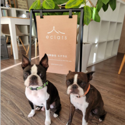 合同会社エクラス