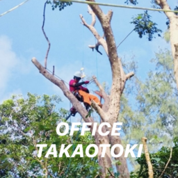 高尾登木事務所