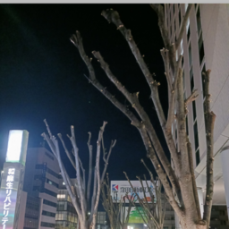 便利屋　助きよ