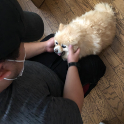 ウォーターレスキュージャパン