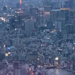 ワイエスコーポレーション