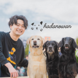 はだのわん|【出張専門】犬のしつけ