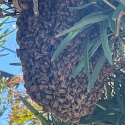 スマートライフ株式会社