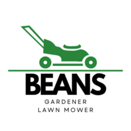 合同会社ビーンズ