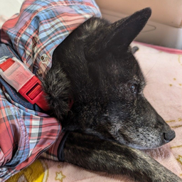 富士電サービス株式会社