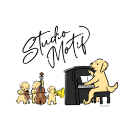 STUDIO MOTIF