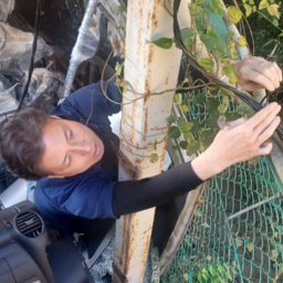 ベスト企画株式会社