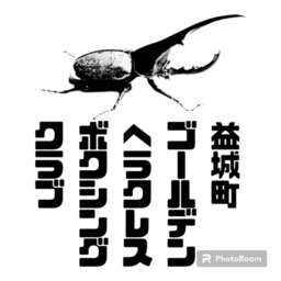【遺品整理・生前整理、お家の片付け対応します！】ゴールデンヘラクレスボクシングクラブ