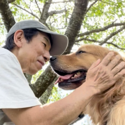 ブリッジ /  Dolphin & Dog Training