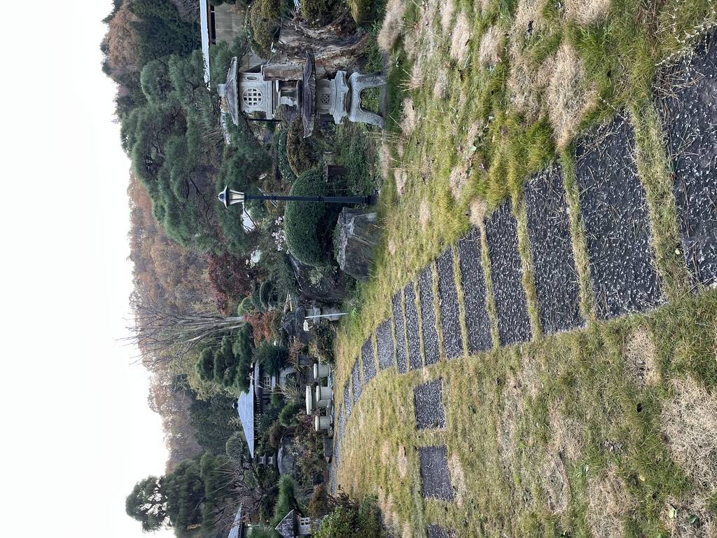 植木屋 四季翠 | 茨城県水戸市 | ゼヒトモ