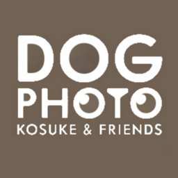 Dog photo KOSUKE & FRIENDS