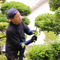 GardenDesignSEALTH(ガーデンデザインシールズ)